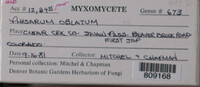 Image Associated With the Occurence
